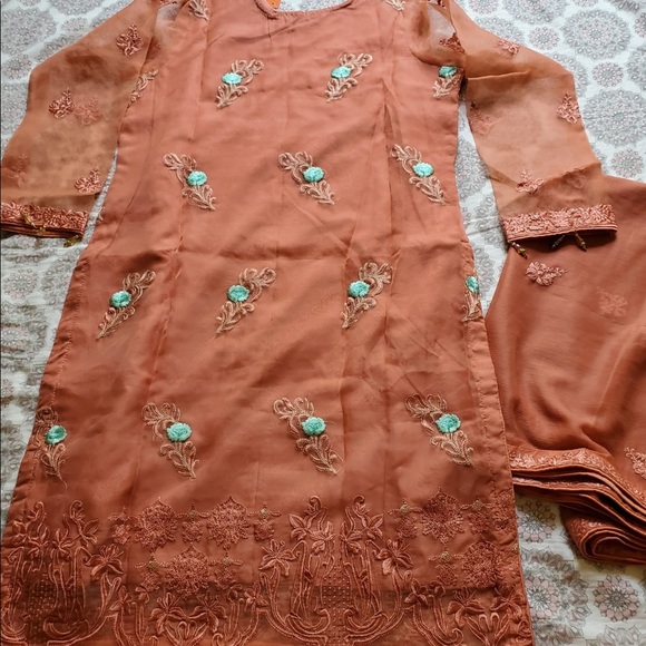 Gorgeous two piece Salwar kameez - Picture 6 of 11